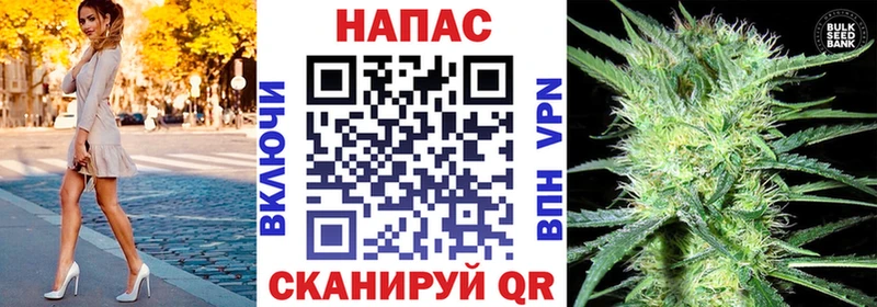 Конопля план  Шахунья 